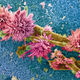 Illustration for article titled These Close-Up Views Of Nature And Technology Are Simply Awe-Inspiring